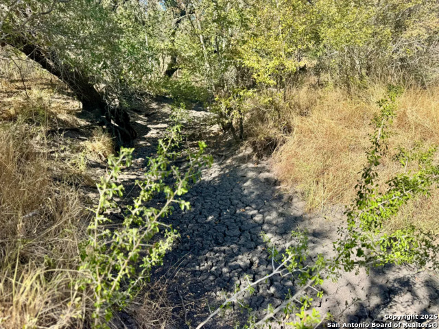 Listing photo id 13 for 0 County Road 215