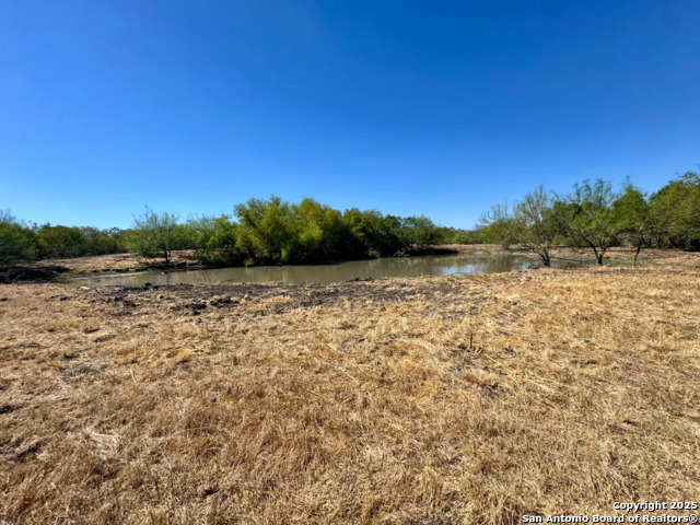 Listing photo id 14 for 0 County Road 215