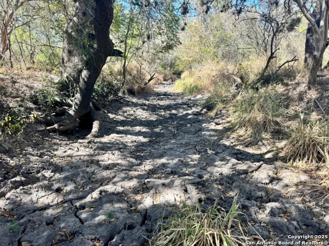 Listing photo id 15 for 0 County Road 215