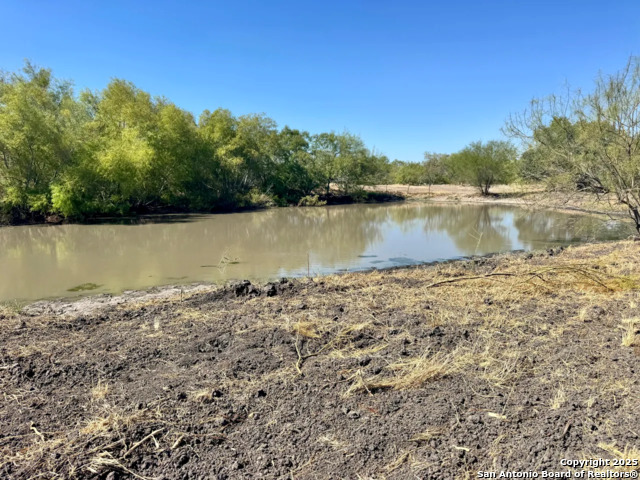 Listing photo id 17 for 0 County Road 215