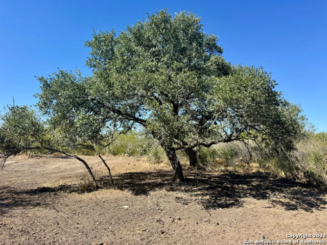 Listing photo id 20 for 0 County Road 215