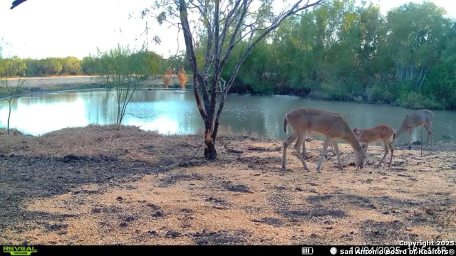 Listing photo id 24 for 0 County Road 215