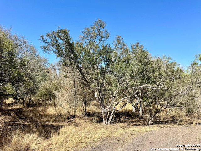 Listing photo id 1 for 0 County Road 215