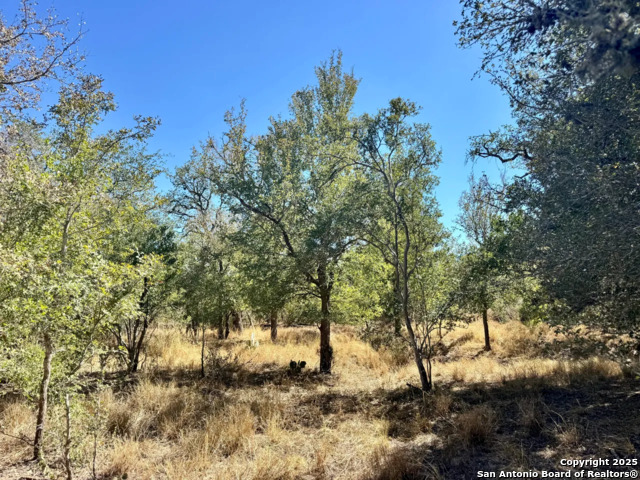 Listing photo id 30 for 0 County Road 215