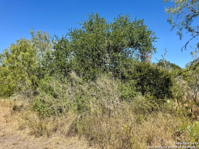 Listing photo id 2 for 0 County Road 215