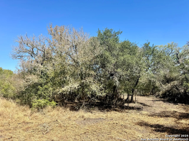 Listing photo id 6 for 0 County Road 215