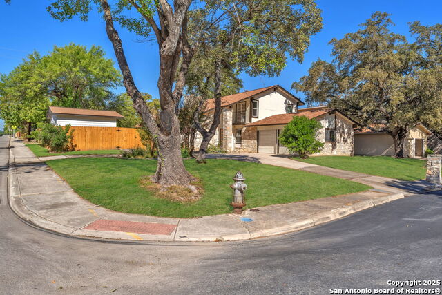 Image 4 of 54 For 13607 Dutch Myrtle