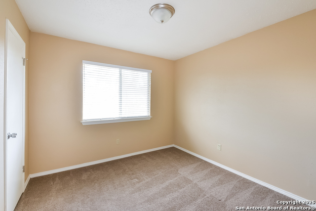 Image 11 of 15 For 14919 Tropical Wind