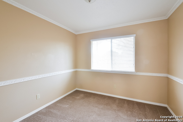 Image 12 of 15 For 14919 Tropical Wind