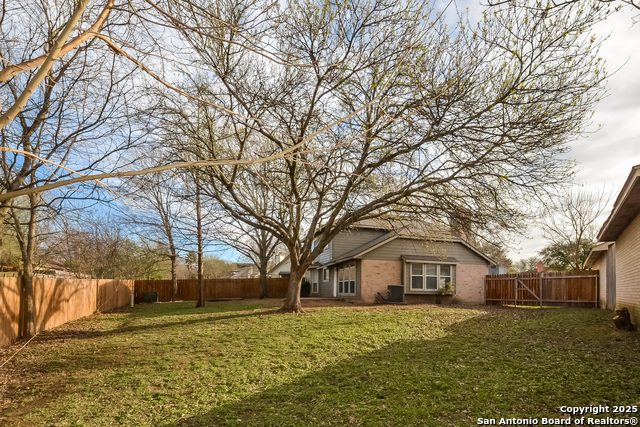 Image 14 of 15 For 14919 Tropical Wind