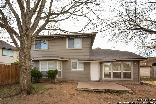 Image 15 of 15 For 14919 Tropical Wind