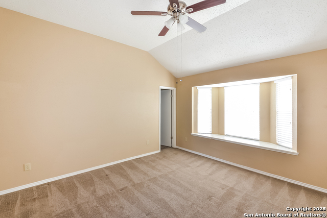 Image 7 of 15 For 14919 Tropical Wind