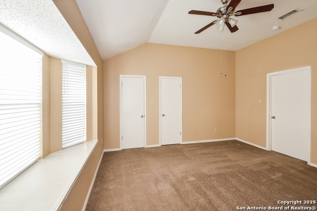 Image 8 of 15 For 14919 Tropical Wind