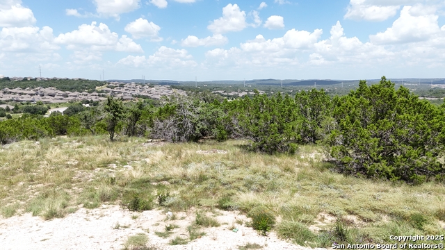 Image 2 of 7 For 31126 Musgrave Drive