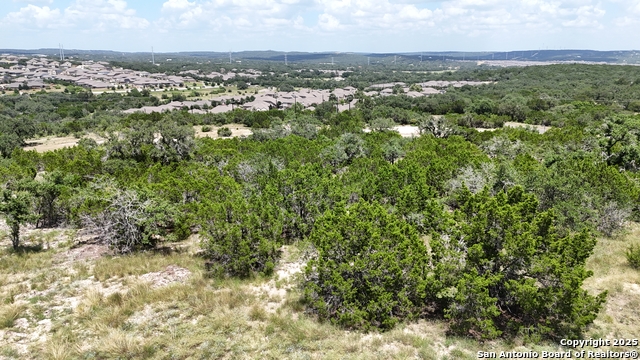 Image 6 of 7 For 31126 Musgrave Drive