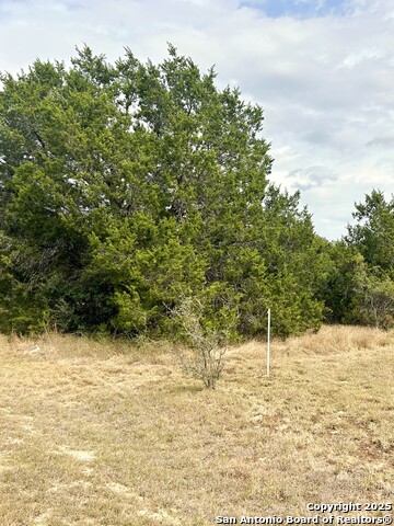 Details for 1315 Spruce  , Fischer, TX 78623