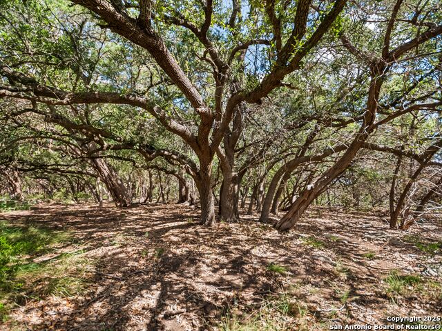 Image 79 of 80 For 4366 Whartons Dock