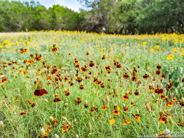 Image 80 of 80 For 4366 Whartons Dock
