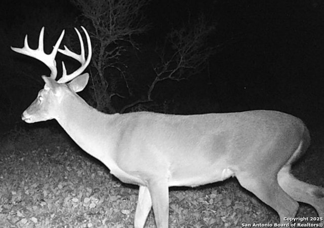 Image 22 of 34 For 5570 Blackhill