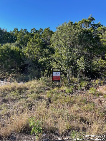 Details for Lot 89 County Road 273, Mico, TX 78056