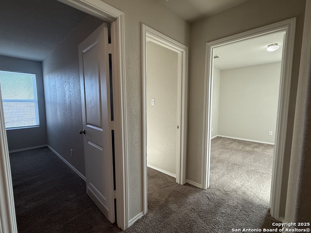 Image 16 of 19 For 7734 Nopalitos