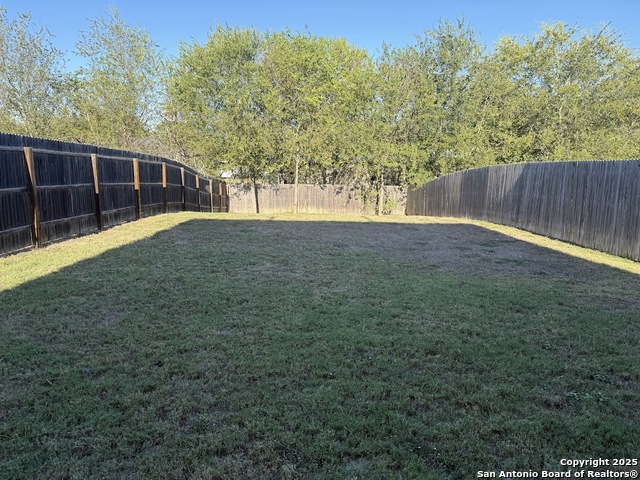 Image 17 of 19 For 7734 Nopalitos