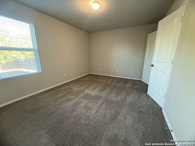 Image 7 of 19 For 7734 Nopalitos