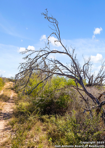 Image 44 of 50 For 2198 Cr 653  