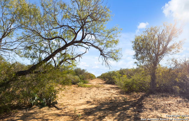 Image 48 of 50 For 2198 Cr 653  