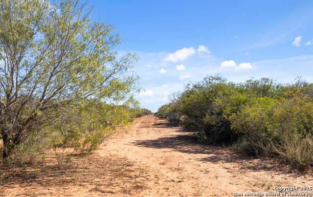 Image 49 of 50 For 2198 Cr 653  