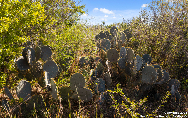 Image 50 of 50 For 2198 Cr 653  