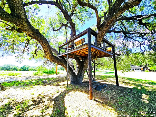 Listing photo id 16 for 803 County Road 6612