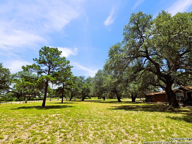 Listing photo id 26 for 803 County Road 6612