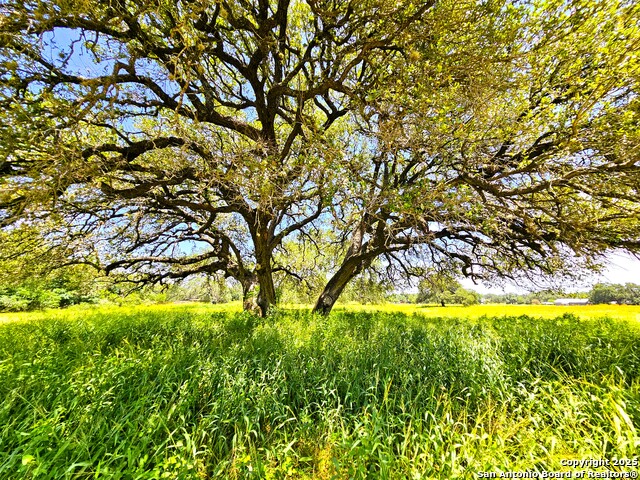 Listing photo id 30 for 803 County Road 6612