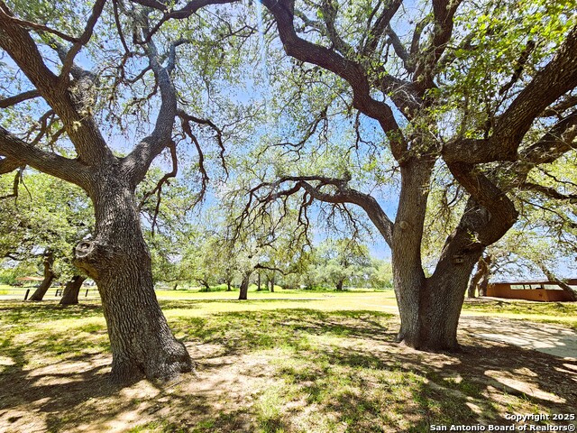 Listing photo id 35 for 803 County Road 6612