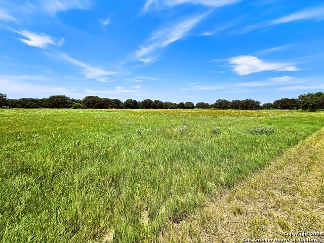 Listing photo id 36 for 803 County Road 6612