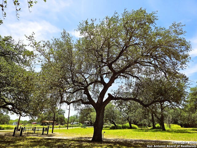 Listing photo id 37 for 803 County Road 6612