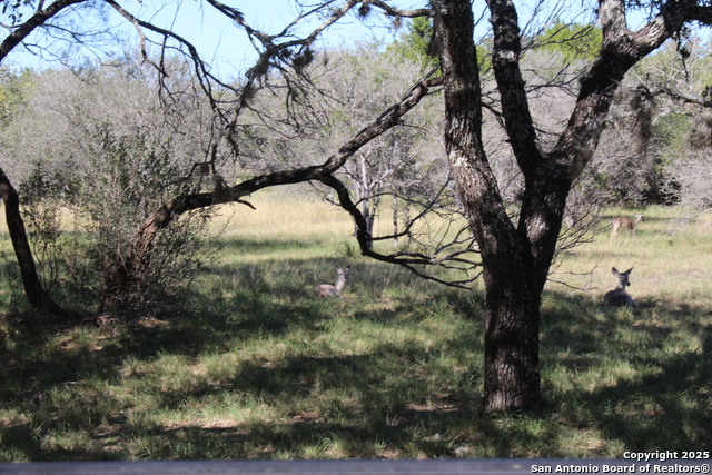 Image 10 of 36 For 300 Paradise Oaks Drive