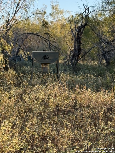 Image 17 of 19 For 137 Viridian View