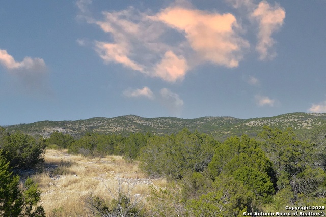 Image 21 of 32 For 97 Sd 45690