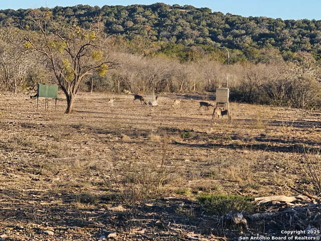 Image 27 of 32 For 97 Sd 45690