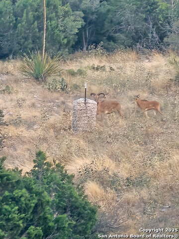 Image 28 of 32 For 97 Sd 45690