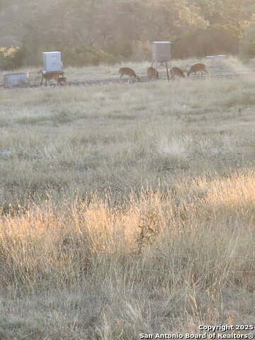 Image 29 of 32 For 97 Sd 45690