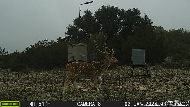 Image 30 of 32 For 97 Sd 45690