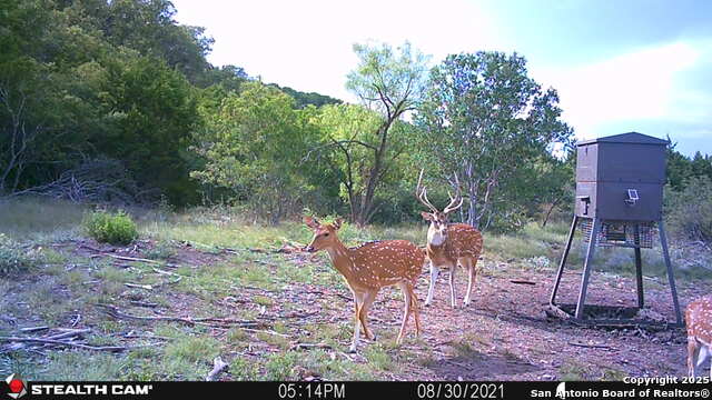 Image 31 of 32 For 97 Sd 45690