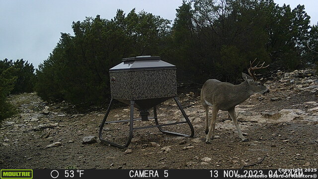 Image 32 of 32 For 97 Sd 45690