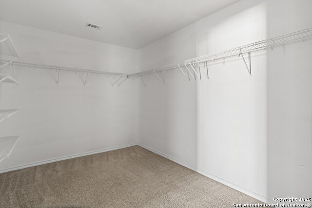 Image 21 of 28 For 2547 Gate Dancer