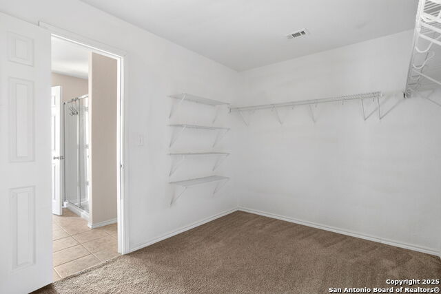 Image 22 of 28 For 2547 Gate Dancer