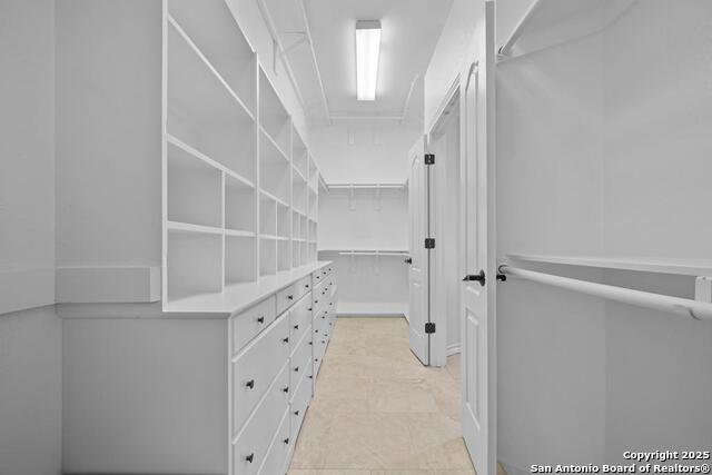 Image 30 of 50 For 1 Spoonbill