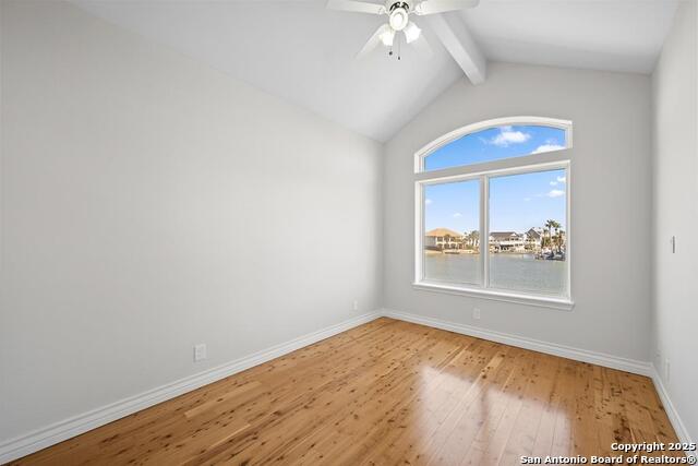 Image 40 of 50 For 1 Spoonbill